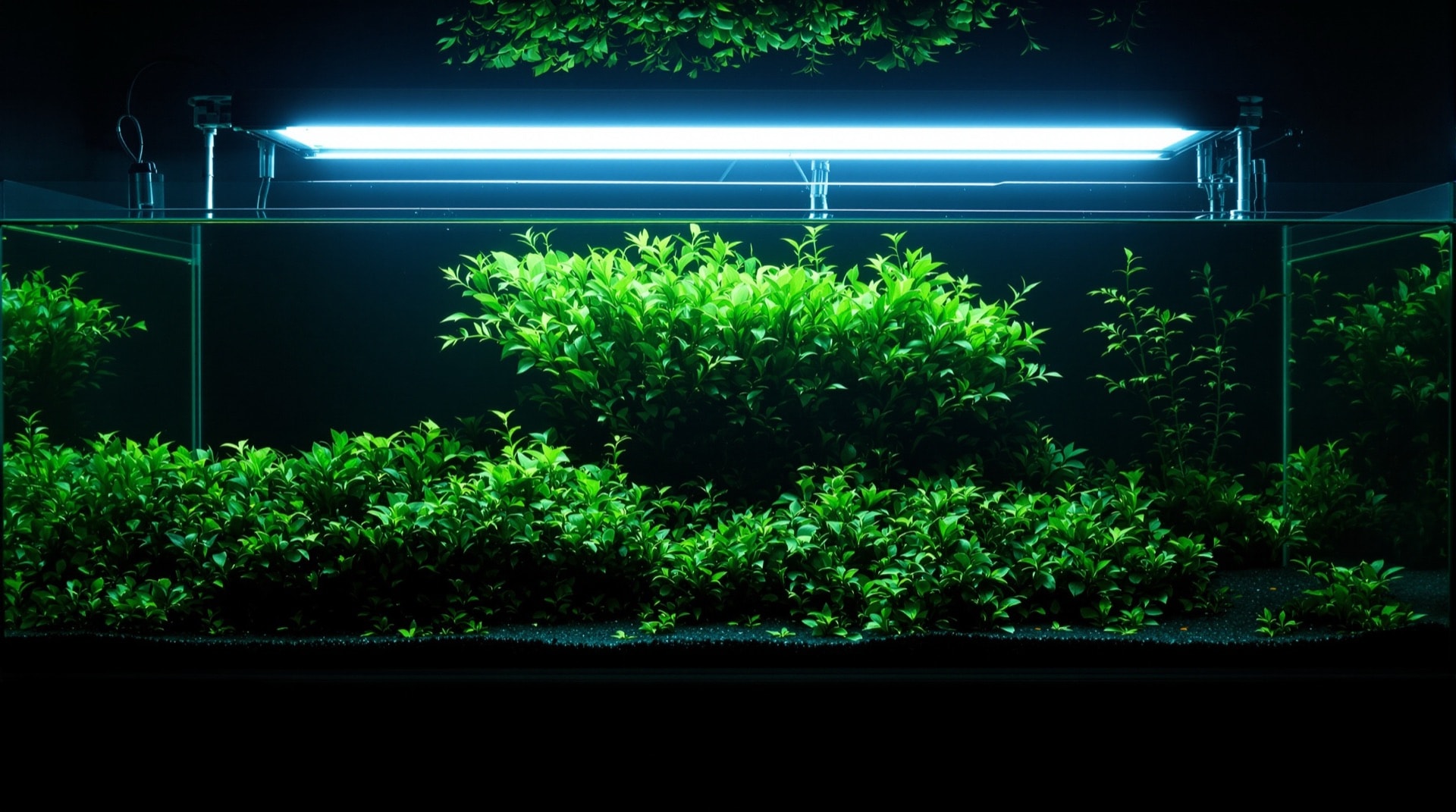 水槽の全体に光が面で当たっている蛍光灯照明の水草水槽